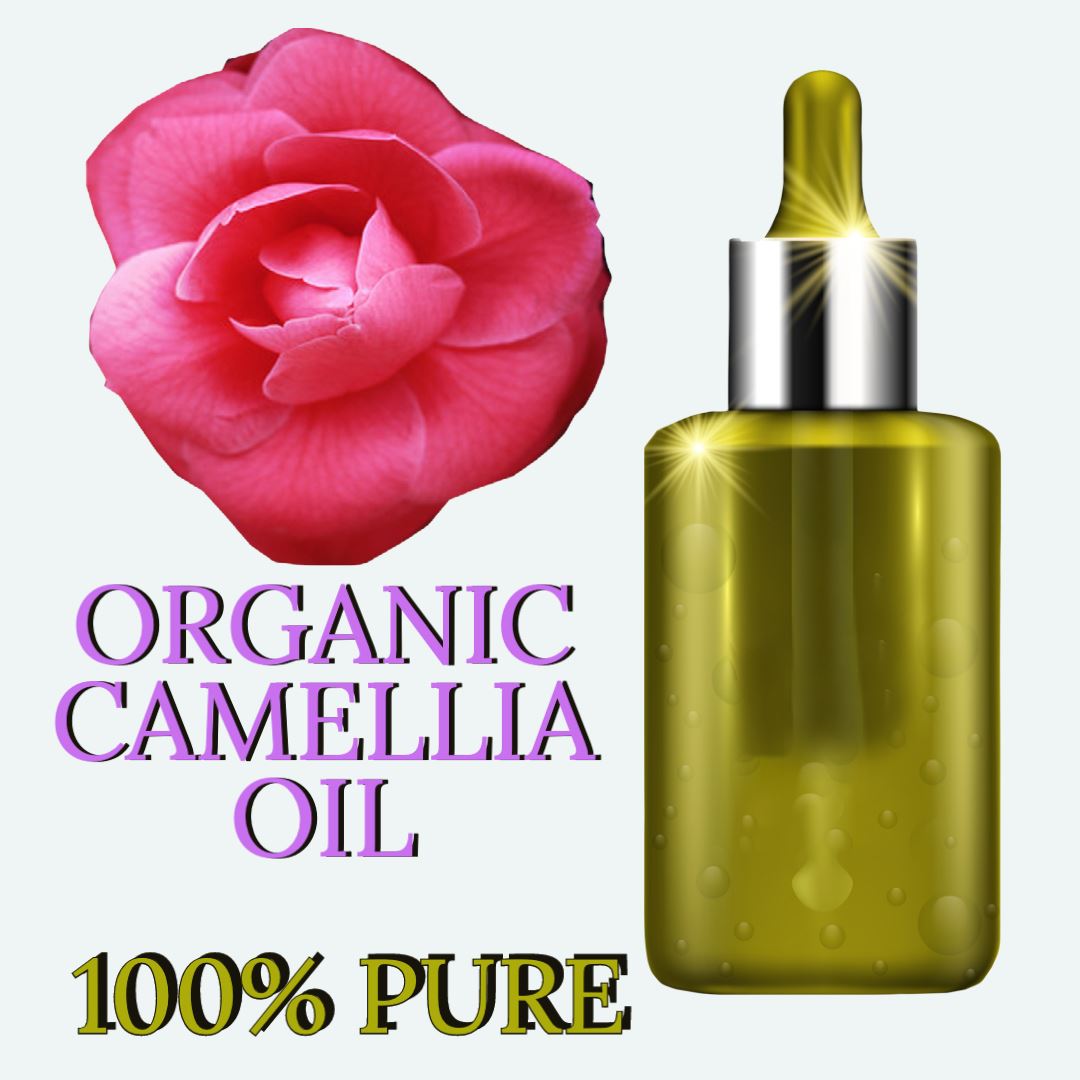 CAMELLIA OIL (Tea Seed Oil)