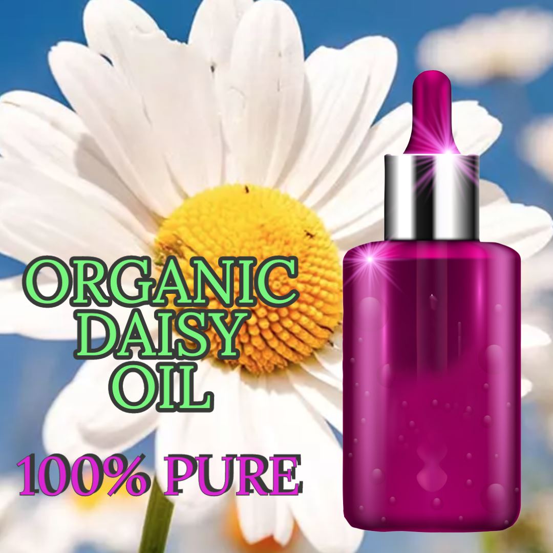 DAISY FLOWER HERBAL INFUSED OIL (Daisy Macerated Oil)
