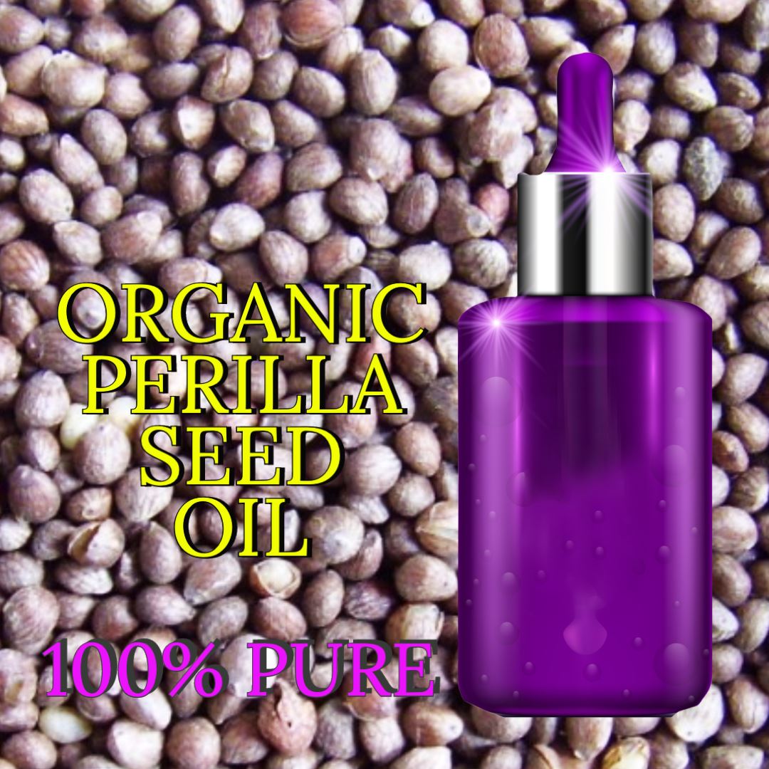 PERILLA SEED OIL (Perilla frutescens Seed Oil)