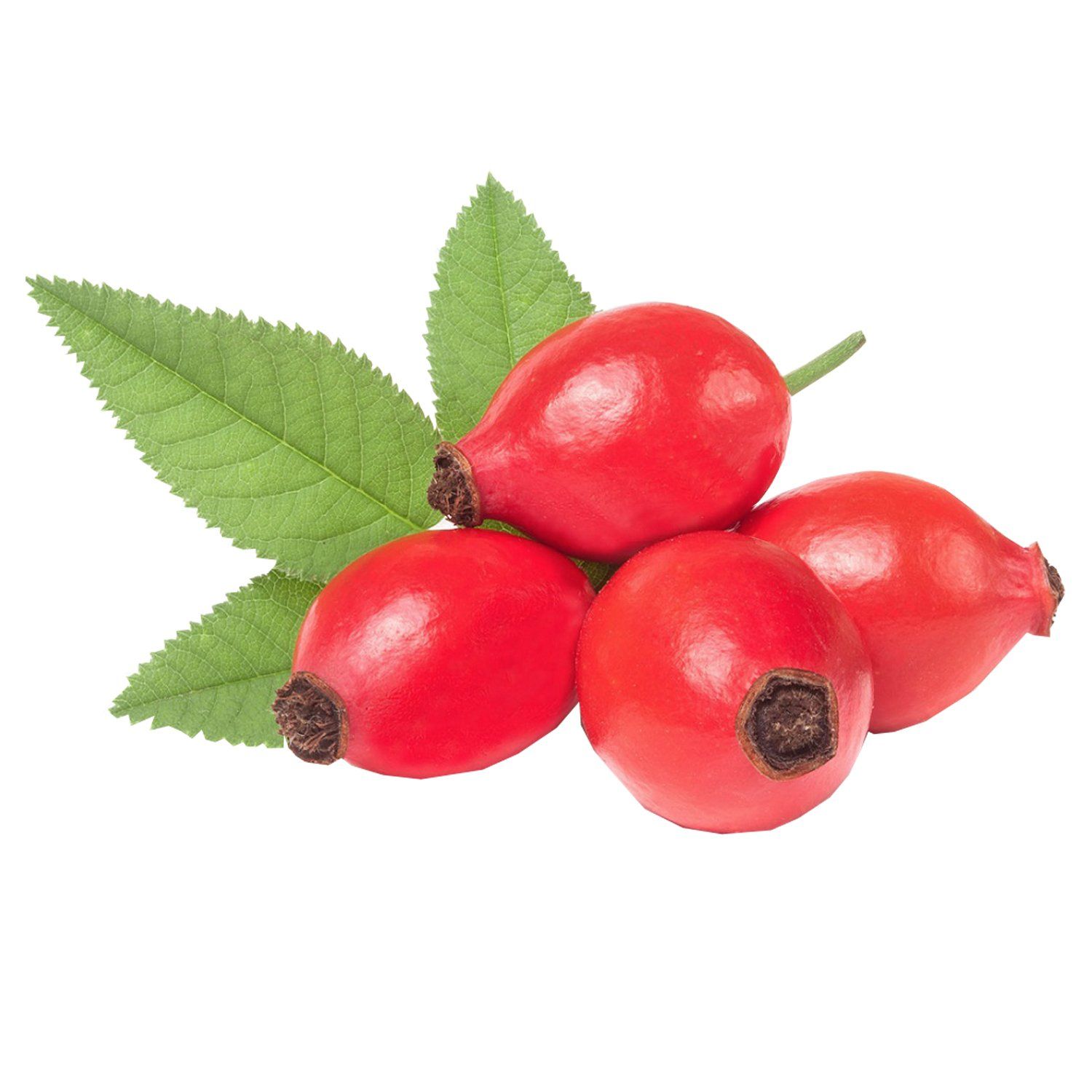 ROSEHIP OIL ( Rosa Mosqueta Seed Oil)